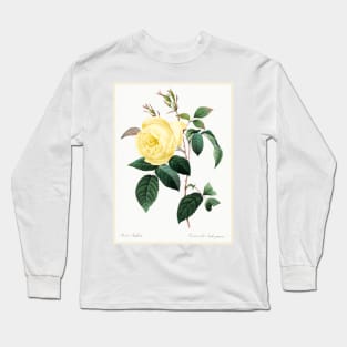 Yellow Rose Long Sleeve T-Shirt